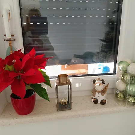 Modern Near Center, Free Parking *